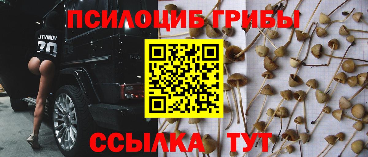 Галлюциногенные грибы прущие грибы  наркотики  Галлюциногенные грибы GOLDEN TEACHER  Заречный  Вход с VPN 